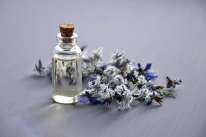 Essential Oils: What Are the Most Popular Essential Oils and What Are Their Benefits